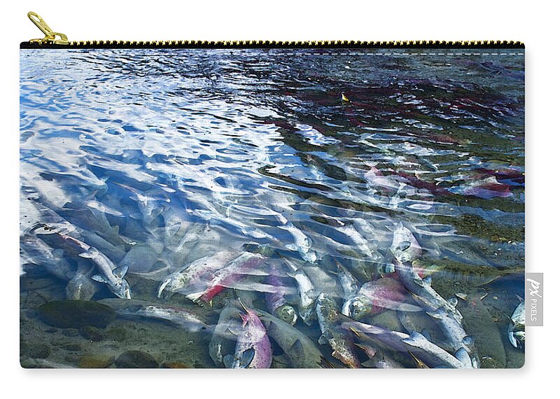 Salmon Zip Pouch featuring the photograph Ending To Begin by Theresa Tahara