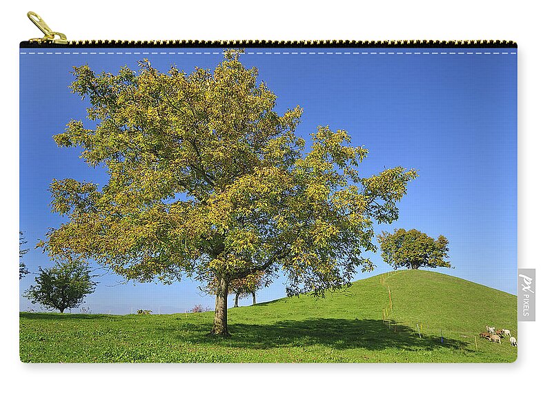 Feb0514 Zip Pouch featuring the photograph English Black Walnut Tree Switzerland by Thomas Marent