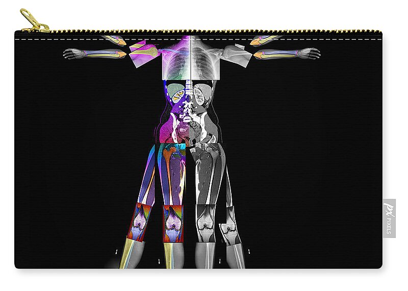 Ct Of Body Zip Pouch featuring the photograph Enhanced Composite Imaging Of Modern Man by Living Art Enterprises