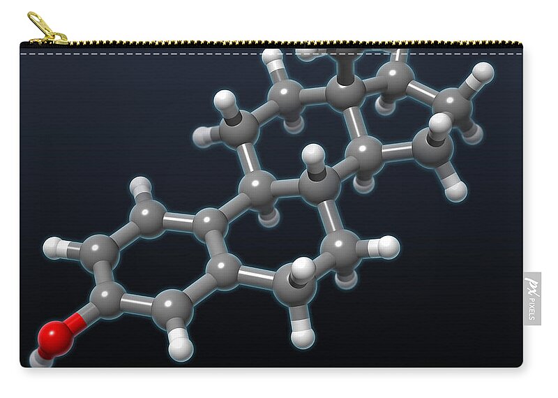 Molecular Zip Pouch featuring the photograph Estradiol Molecular Model by Evan Oto