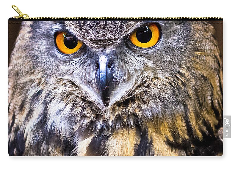 Eurasian Eagle-owl Zip Pouch featuring the photograph Eurasian Eagle-Owl by Robert L Jackson