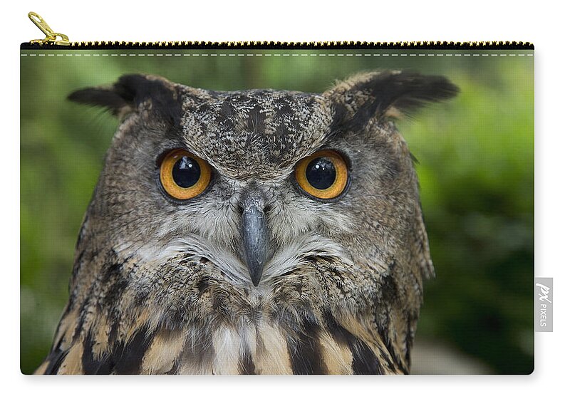 San Diego Zoo Zip Pouch featuring the photograph Eurasian Eagle-owl by San Diego Zoo