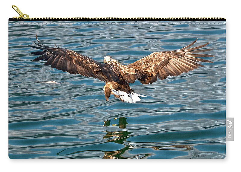 White_tailed Eagle Zip Pouch featuring the photograph European Flying Sea Eagle 6 by Heiko Koehrer-Wagner