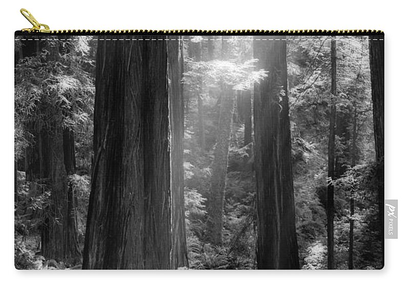 Redwood Zip Pouch featuring the photograph Evening Light by Mark Alder