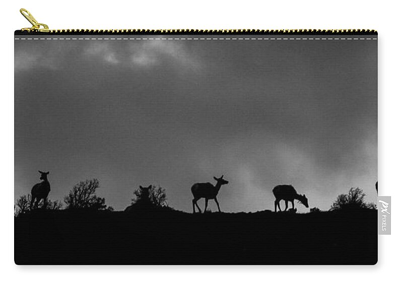 Big Horn Sheep Zip Pouch featuring the photograph Evening Ridge by Kevin Dietrich
