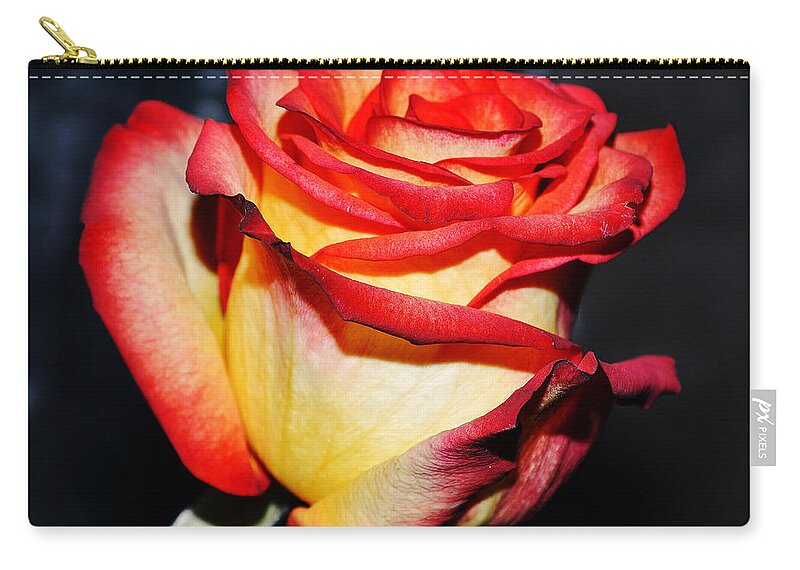 Rose Zip Pouch featuring the photograph Event rose 3 by Felicia Tica