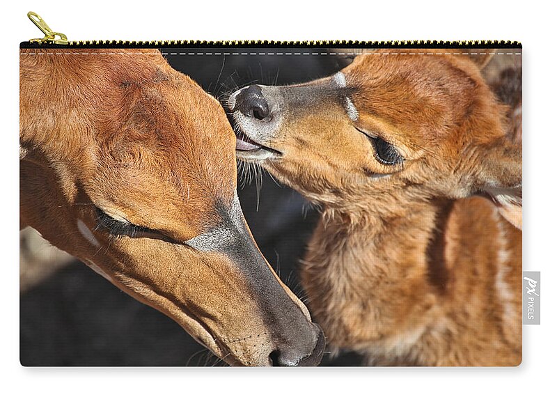Ever Love Zip Pouch featuring the photograph Ever Love by Karol Livote