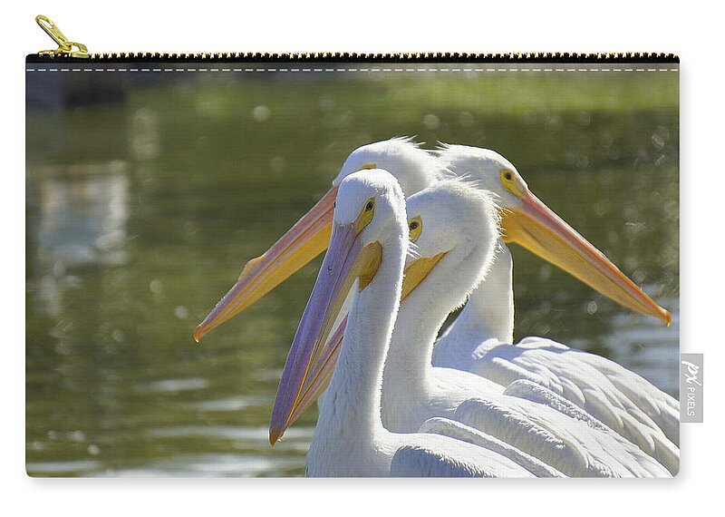 White Pelicans Zip Pouch featuring the photograph Every Which Way by Laurie Perry