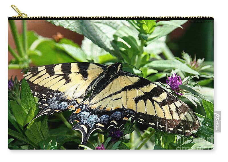 Bug Zip Pouch featuring the photograph Expansive by Susan Herber
