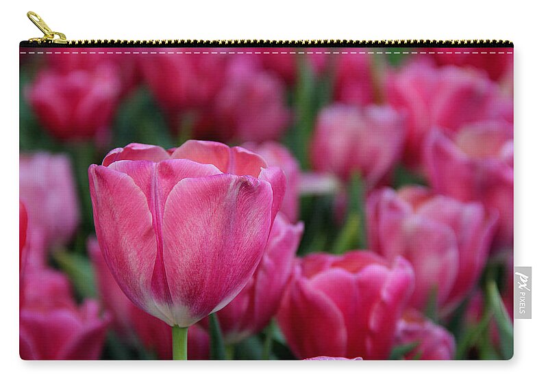 Flowers Zip Pouch featuring the photograph Explosion of pink by Tammy Espino