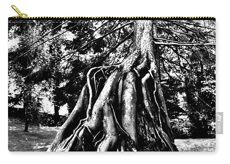 Tree Zip Pouch featuring the photograph Exposed by Benjamin Yeager