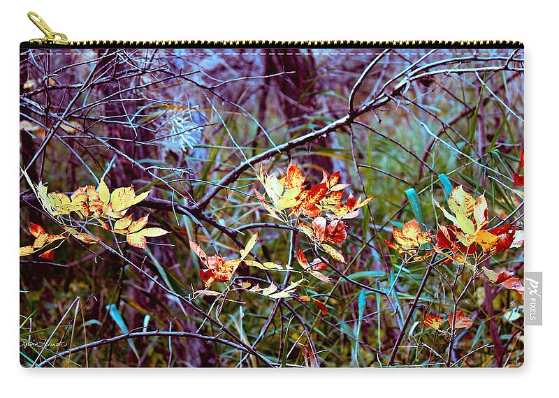 Fall Foliage Zip Pouch featuring the photograph Eye Candy by Sylvia Thornton