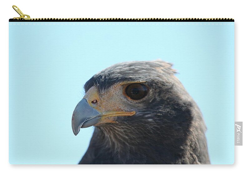 Raptor Zip Pouch featuring the photograph Eye Of The Huntress by David S Reynolds