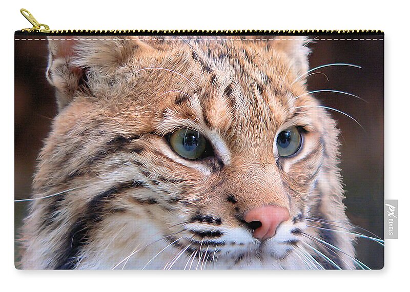 Lynx Zip Pouch featuring the photograph Eyes of a Lynx by Rosalie Scanlon