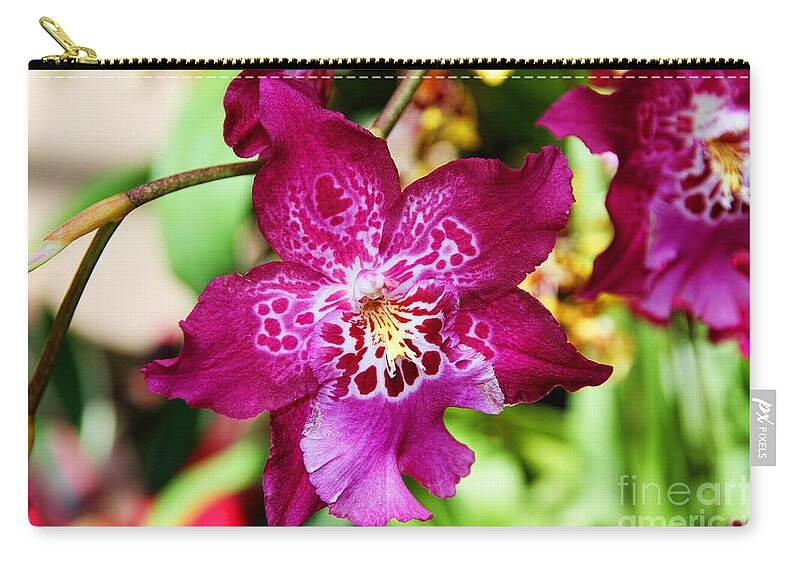 Orchids Zip Pouch featuring the photograph Fabulous Fushia Orchids By Diana Sainz by Diana Raquel Sainz