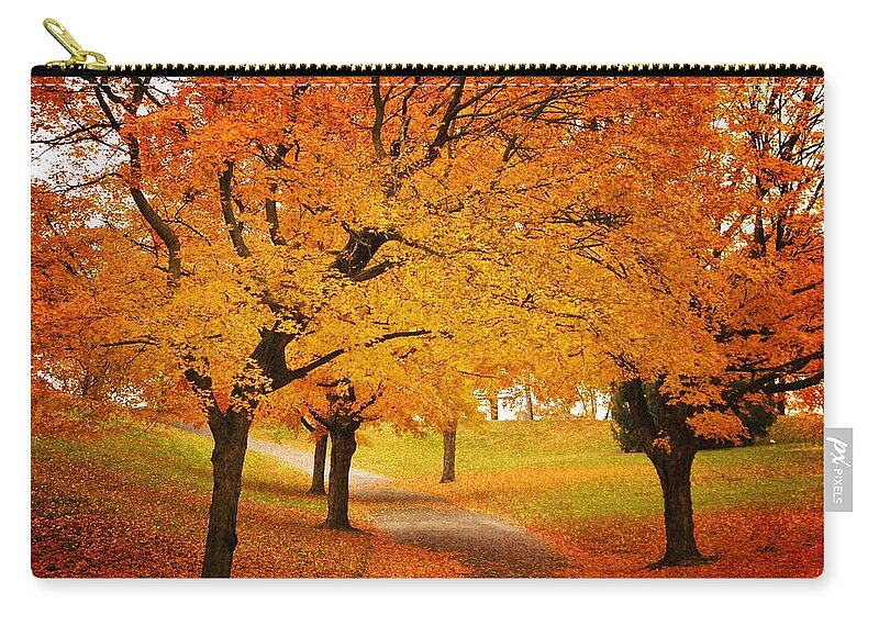 Trees Zip Pouch featuring the photograph Fall Blaze by Chris Berry