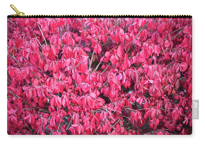 Outdoors Zip Pouch featuring the photograph Fall Colors Showing Through On A Bush by Chris Parsons