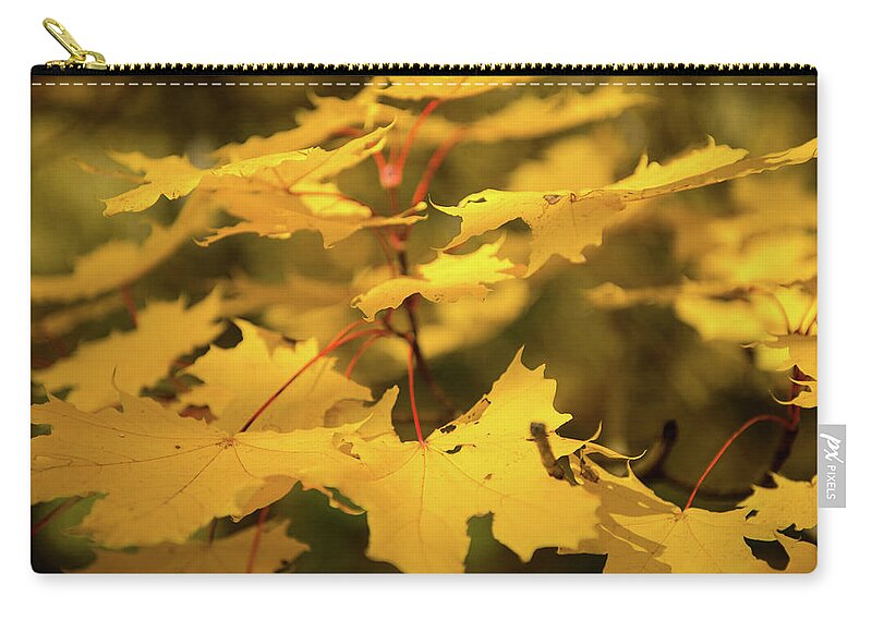 Outdoors Zip Pouch featuring the photograph Fall Colours by Copyright Radu Dan