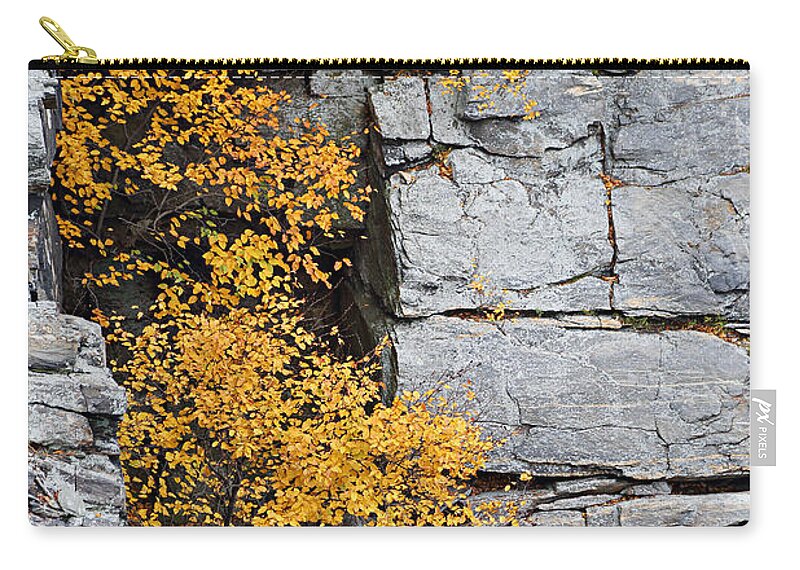 Autumn Zip Pouch featuring the photograph Fall Foliage Colors 01 by Metro DC Photography