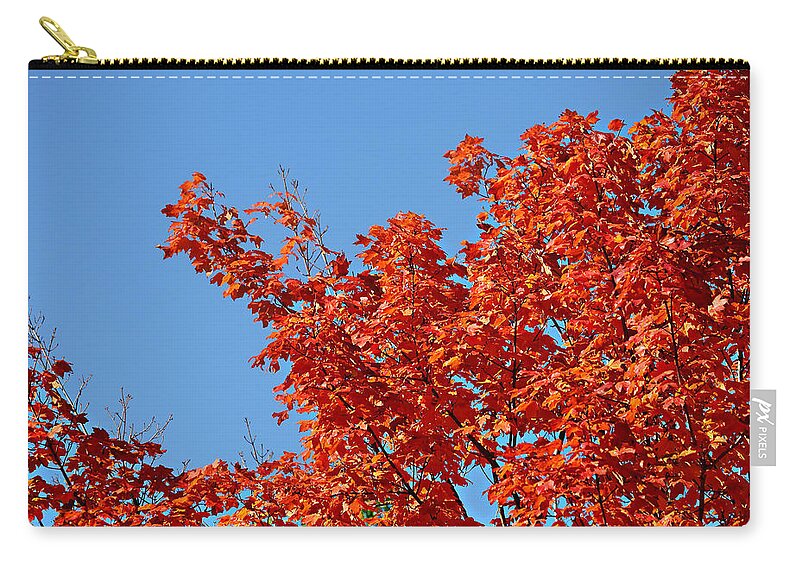 Autumn Zip Pouch featuring the photograph Fall Foliage Colors 20 by Metro DC Photography