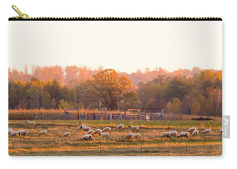 Sheep Zip Pouch featuring the photograph Fall Graze by Jan Killian