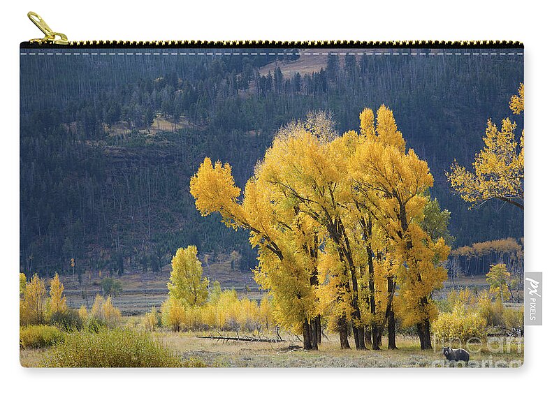 Grizzly Bear Zip Pouch featuring the photograph Fall in Yellowstone by Deby Dixon