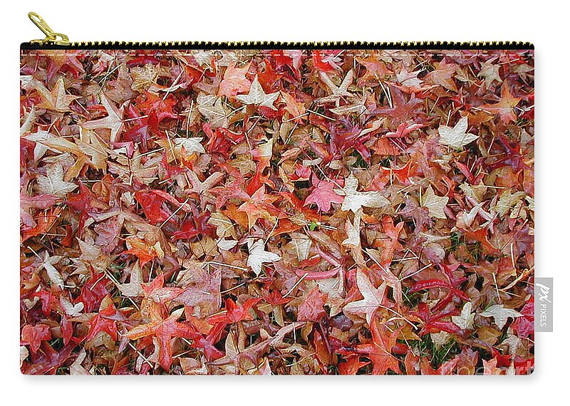 Leaves Zip Pouch featuring the photograph Fall Leaves by Bev Conover