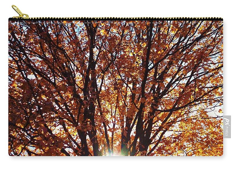 Autumn Zip Pouch featuring the photograph Fall Light by Darren Robinson