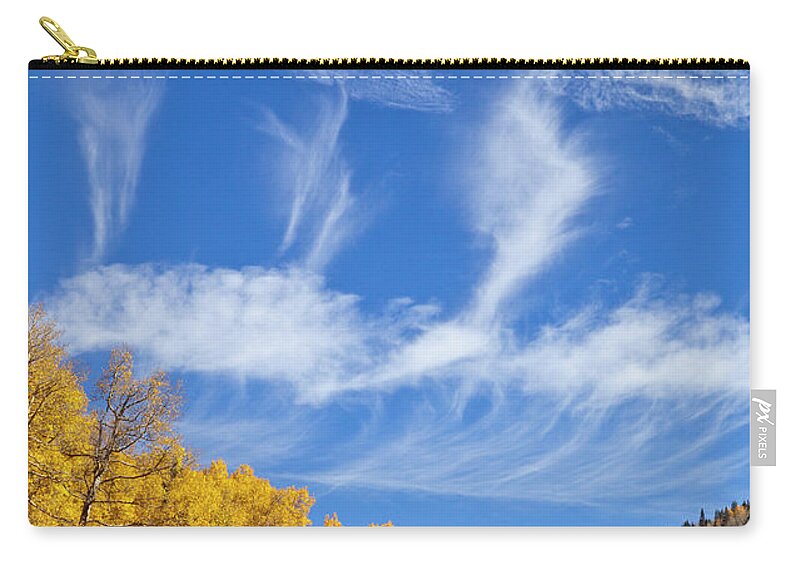 00559145 Zip Pouch featuring the photograph Quaking Aspens in Fall by Yva Momatiuk John Eastcott