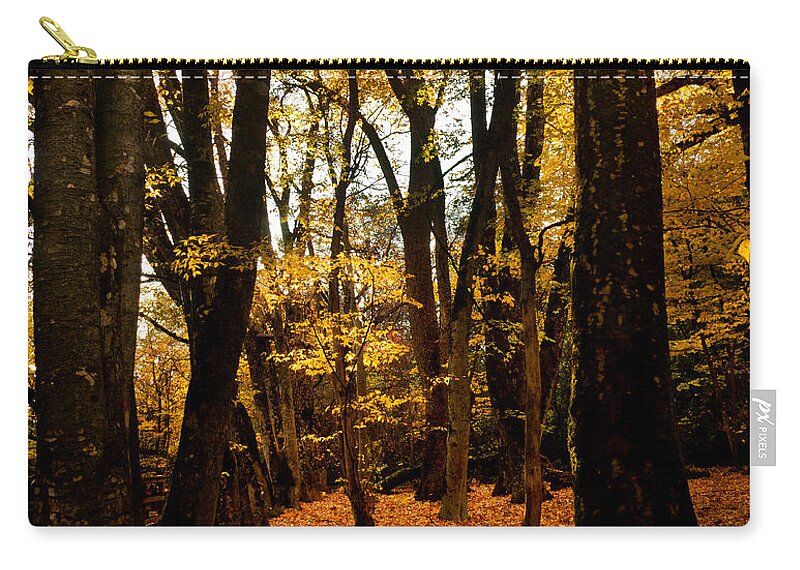 Bidwell Park Zip Pouch featuring the photograph Fall Scene In Bidwell Park by Robert Woodward