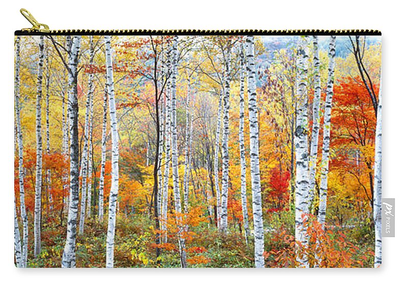 Photography Zip Pouch featuring the photograph Fall Trees, Shinhodaka, Gifu, Japan by Panoramic Images