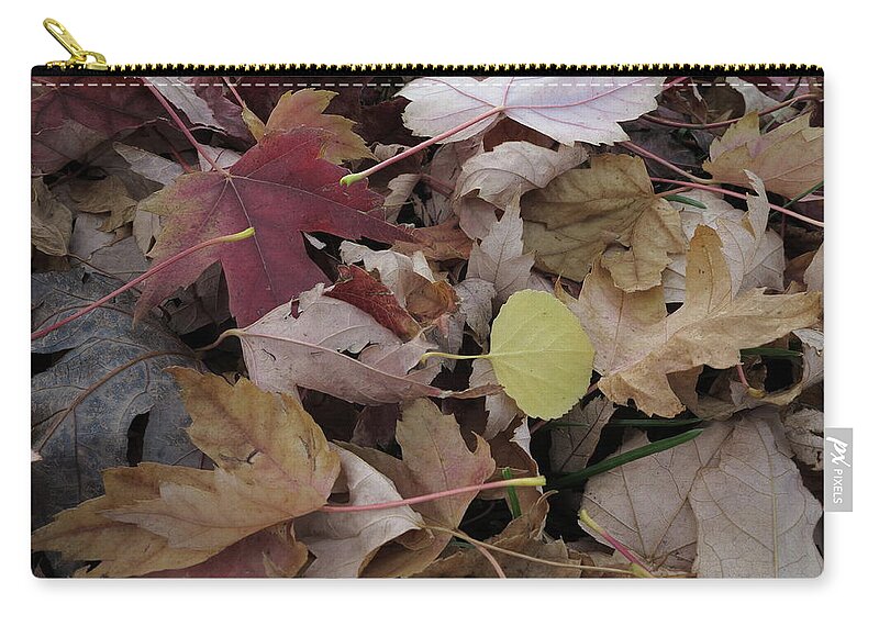Autumn Zip Pouch featuring the photograph Fallen Beauty by Jessica Myscofski