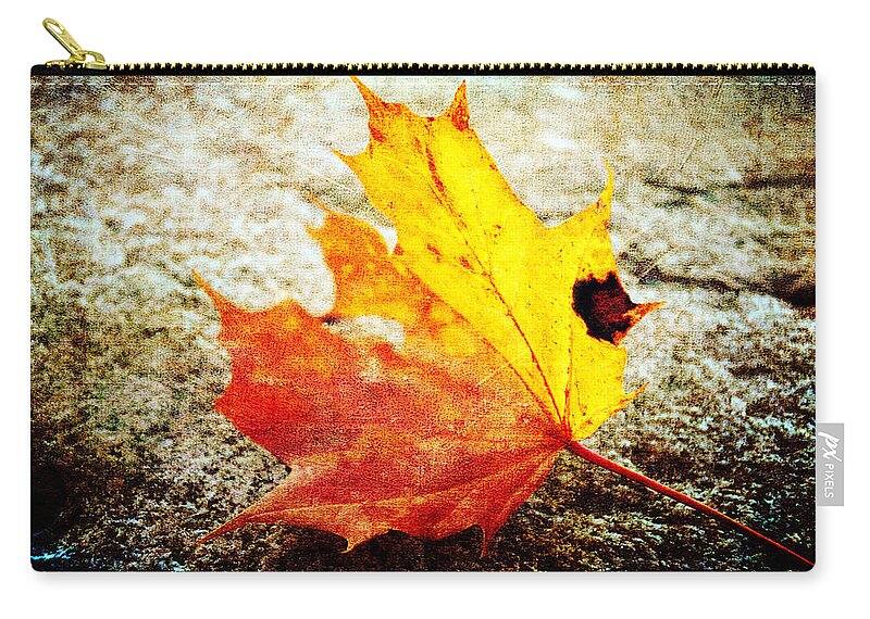 Fall Zip Pouch featuring the photograph Fallen Leaf by Randi Grace Nilsberg