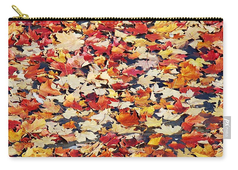 Leaves Zip Pouch featuring the photograph Fallen Leaves by Zinvolle Art