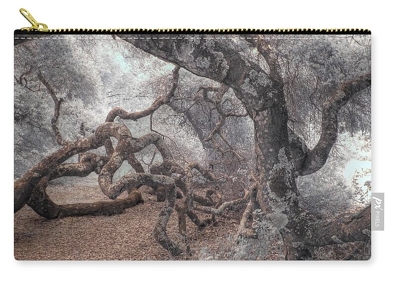 Oak Zip Pouch featuring the photograph Fallen Oak by Jane Linders