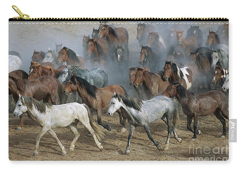 00340233 Zip Pouch featuring the photograph Family Band Of Mustangs by Yva Momatiuk and John Eastcott