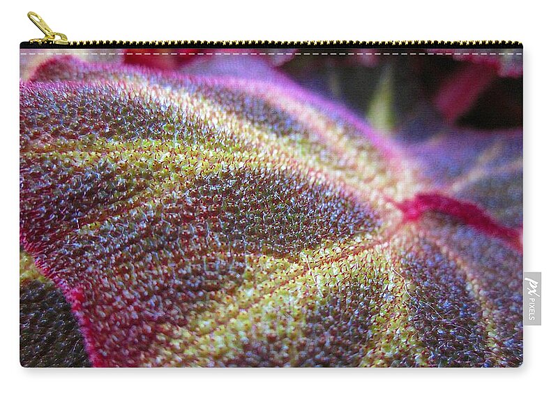 Leaf Zip Pouch featuring the photograph Fancy Leaf by MTBobbins Photography