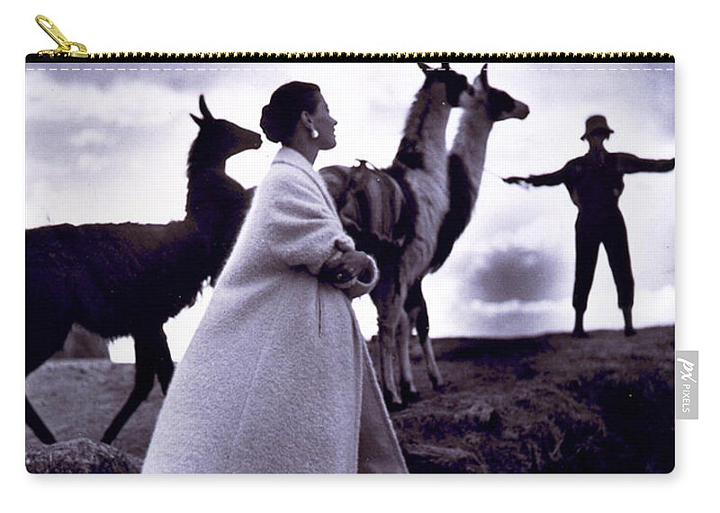 Fashion Zip Pouch featuring the photograph Fashion Model With Llamas, 1952 by Science Source