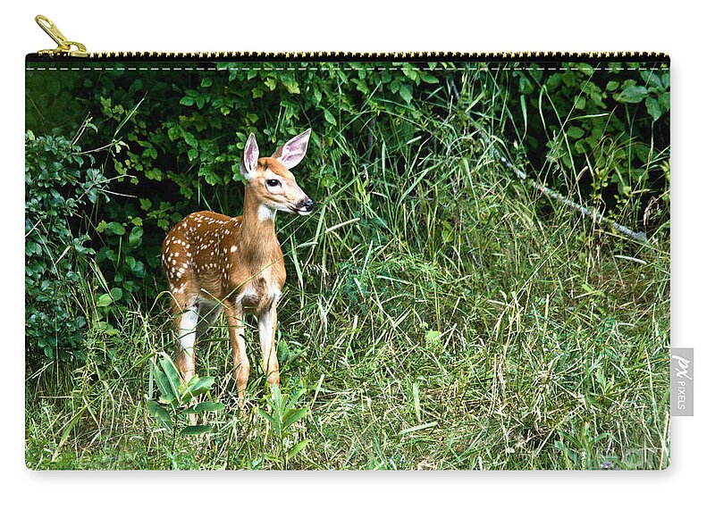 Deer Carry-all Pouch featuring the photograph Fawn by Cheryl Baxter