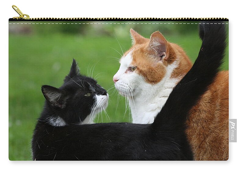 Feline Carry-all Pouch featuring the photograph Feline Friends by Valerie Collins