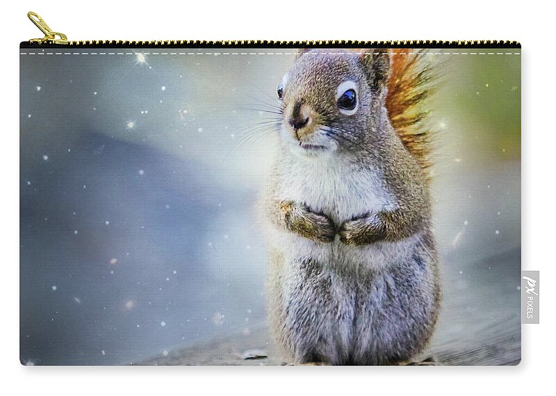 Animal Themes Zip Pouch featuring the photograph Female American Red Squirrel by Nancy Rose