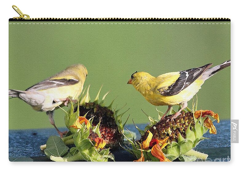American Goldfinch Zip Pouch featuring the painting Female and Male American Goldfinch by J McCombie
