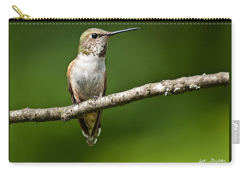 Adult Carry-all Pouch featuring the photograph Female Rufous Hummingbird in a Tree by Jeff Goulden