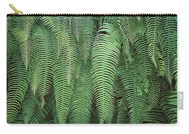 Feb0514 Zip Pouch featuring the photograph Ferns Hanging Over Trail Nepal by Colin Monteath