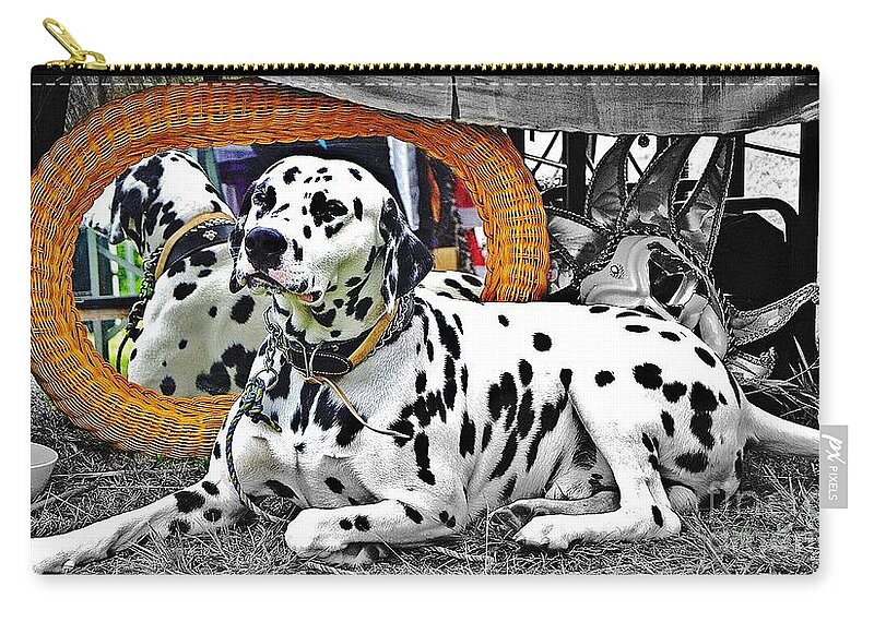 Blair Stuart Zip Pouch featuring the photograph Festival Dog by Blair Stuart