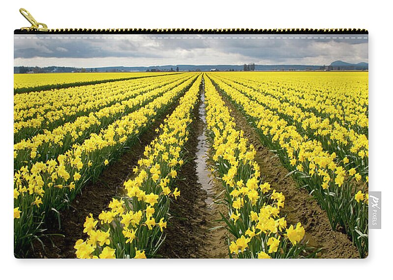 In A Row Zip Pouch featuring the photograph Field Of Daffodils by Thomas Winz