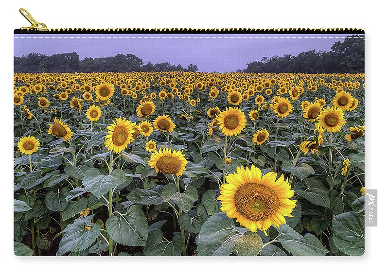 Tranquility Zip Pouch featuring the photograph Field Of Sunflower Blooms by Dennis Govoni