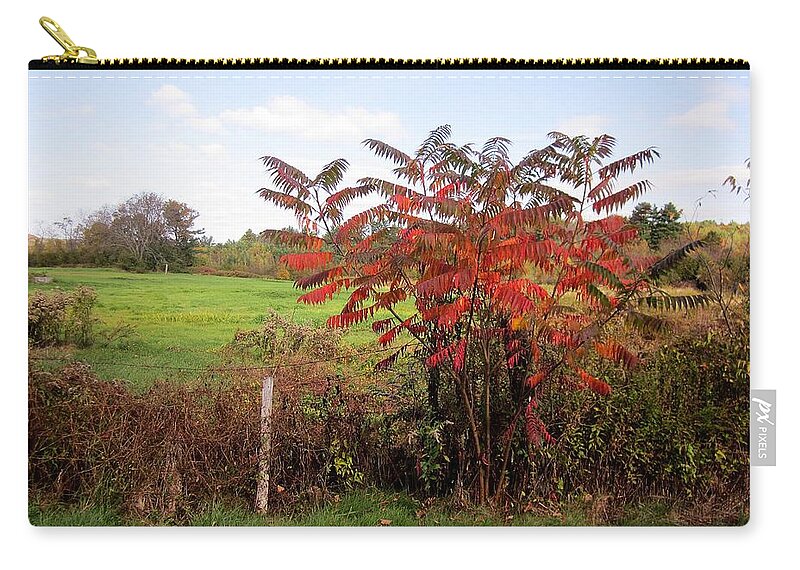 Field Zip Pouch featuring the photograph Field With Sumac in Autumn by MTBobbins Photography