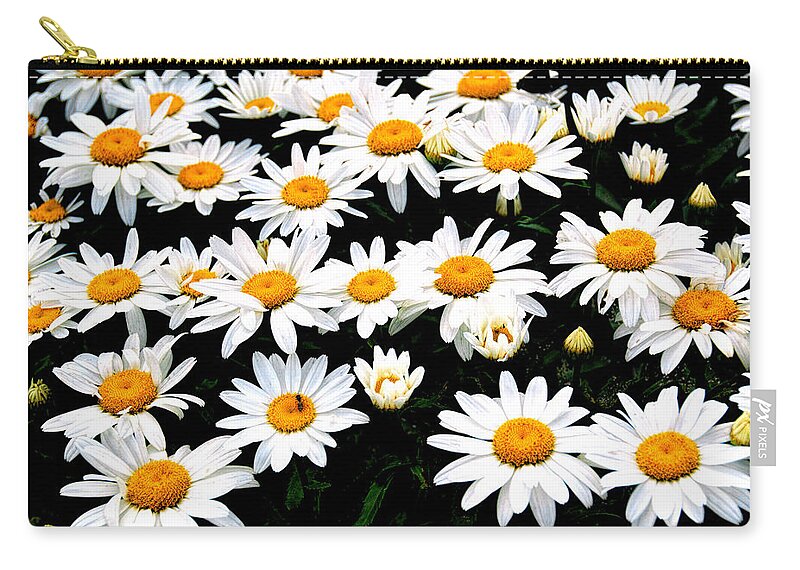 Patch Of Daisies Zip Pouch featuring the photograph Fields Of Daisies by Pat Cook