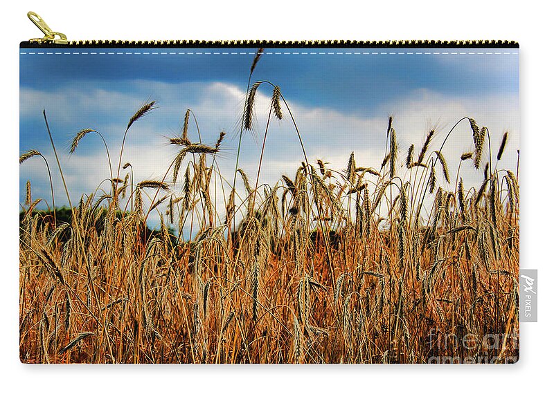 Fields Of Gold Zip Pouch featuring the photograph Fields Of Gold by Mariola Bitner